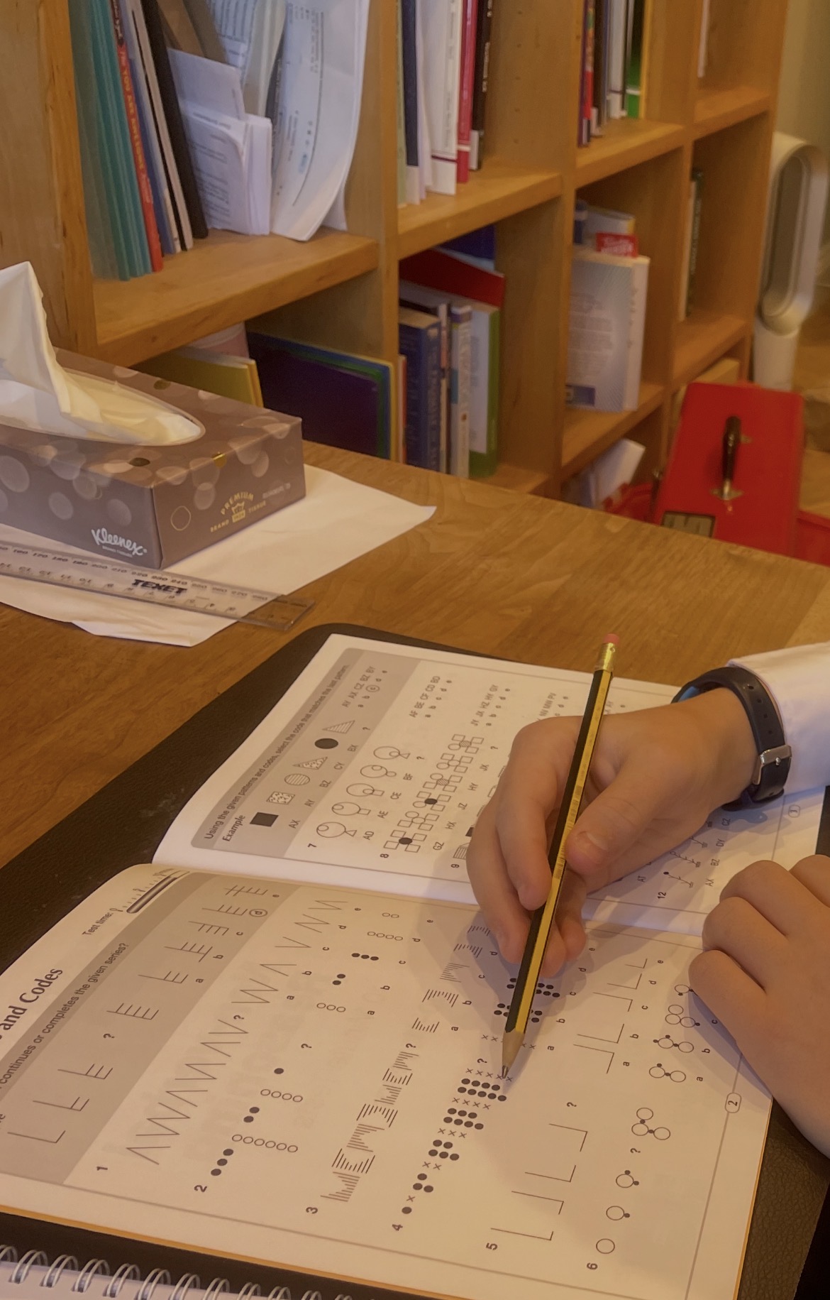 Student developing independent thinking and reasoning skills during a personalised tutoring session.